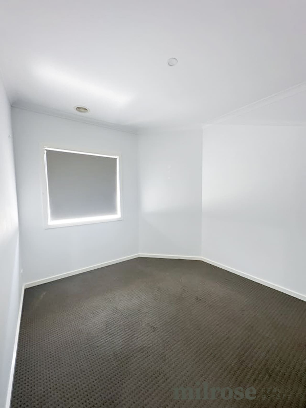 1/69 Babele Road, Tarneit, VIC 3029